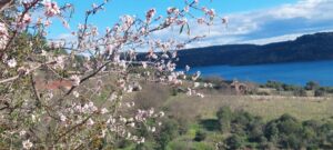 panorama Lac du Salagou