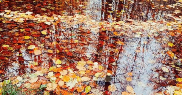 Agenda du mois d’Octobre
